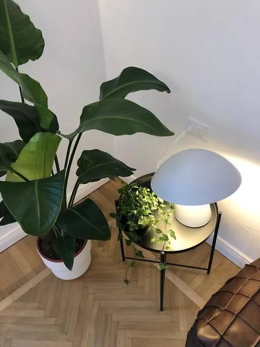 Bnbutler - Guercino, 8 - Renovated Design Apartment 밀라노